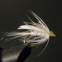 ���� ������ Wet fly 
